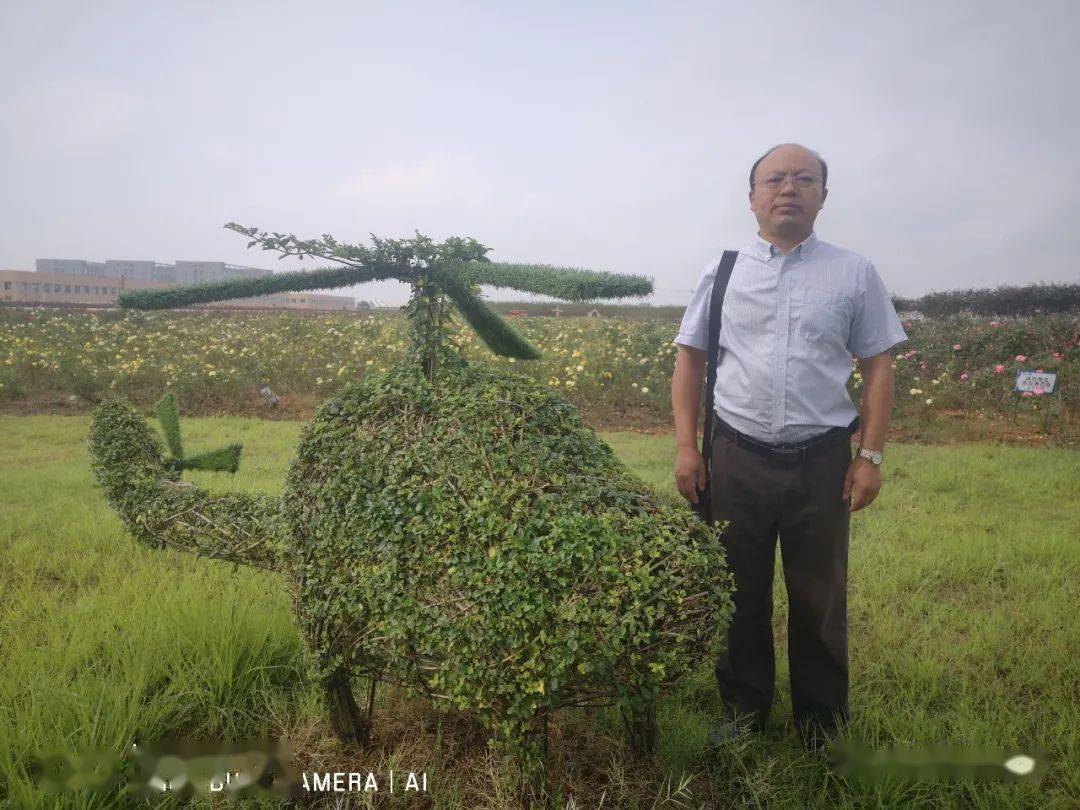 日照摄影群教程苹果版:行走丨丛林深处的家园-第6张图片-太平洋在线下载