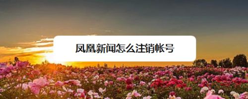 凤凰新闻客户端如何销户请问进出口权注销要去哪里注销-第2张图片-太平洋在线下载