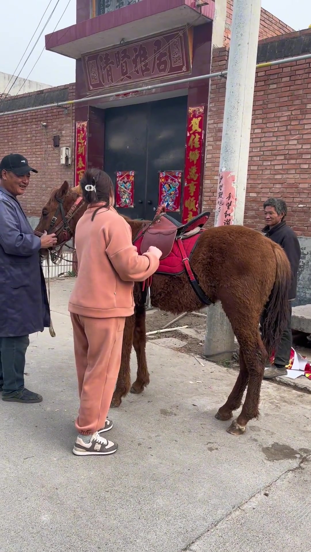 古马陆如何驯服手机版古马陆怎么驯服吃什么饲料