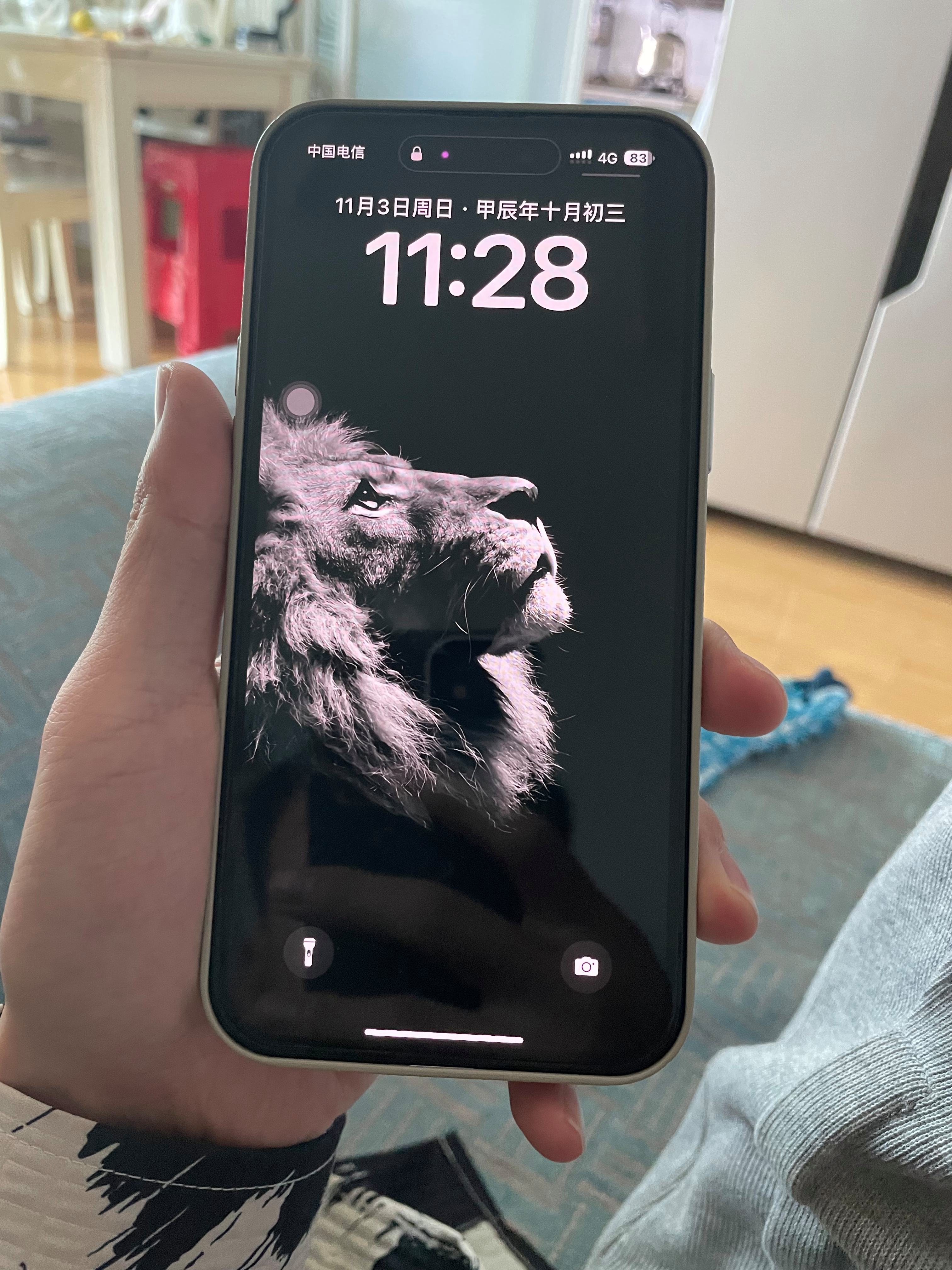 苹果us版有限制(ios高版本增加了usb限制模式)-第5张图片-有道翻译官网