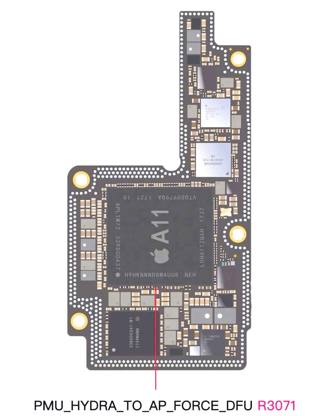 苹果x和苹果11主版能否匹配(苹果x和苹果11可以共用一个手机壳吗)-第17张图片-有道翻译官网 苹果x和苹果11主版能否匹配(苹果x和苹果11可以共用一个手机壳吗)-第17张图片-有道翻译官网