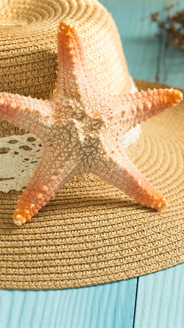 海星tv苹果版(海星云最新版ios下载不了了)-第2张图片-有道翻译官网