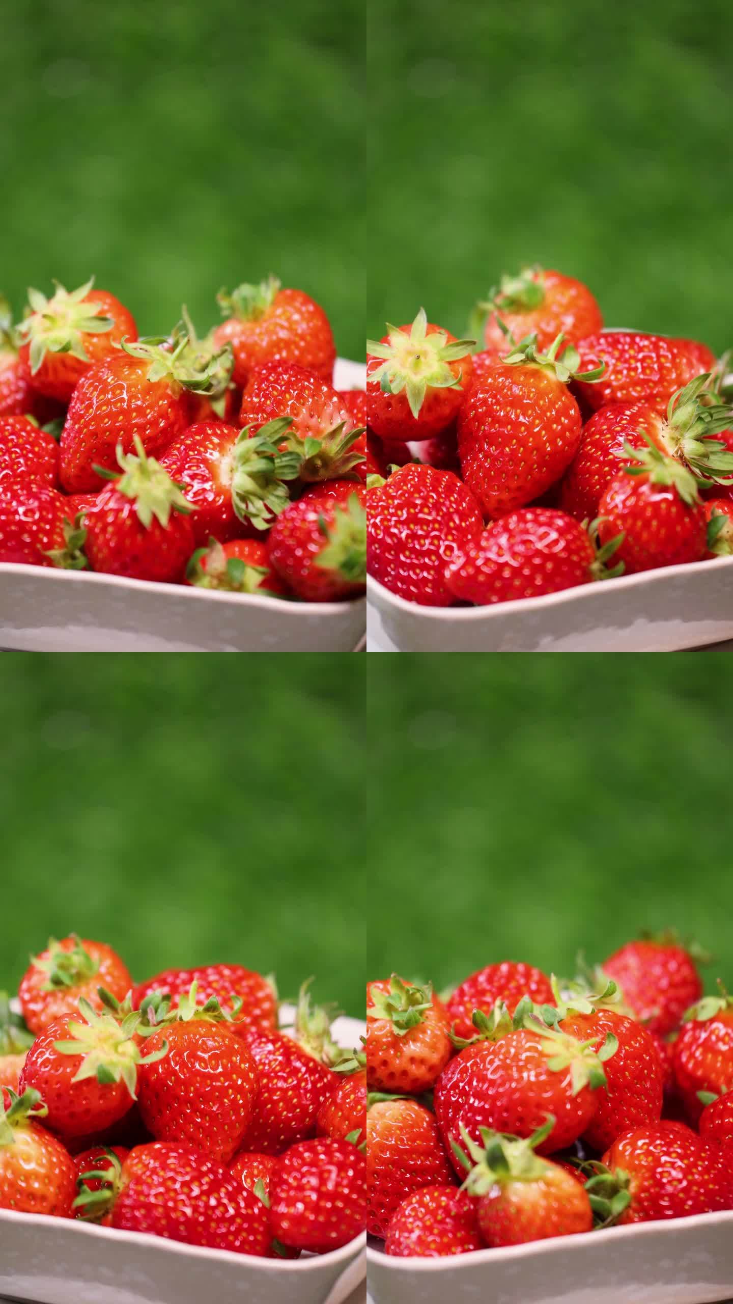 草莓视频苹果版下载(草莓视频2020苹果下载)-第5张图片-有道翻译官网 草莓视频苹果版下载(草莓视频2020苹果下载)-第5张图片-有道翻译官网